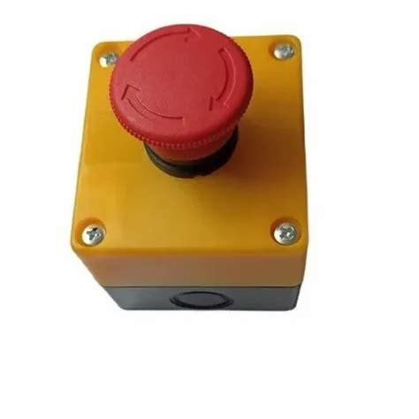 Pit Switch - Elevator Pit Switch Manufacturer from Jaipur