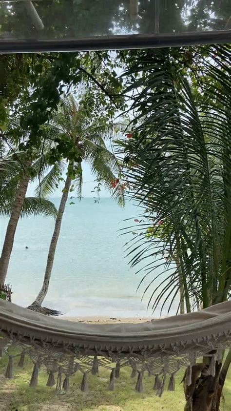 Ocean View 的图像结果