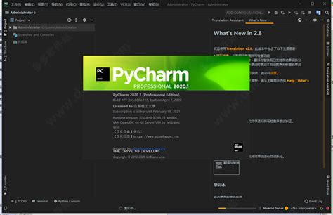 Pycharm2020.1汉化版下载-Pycharm永久激活码2020专业版下载_骑士下载