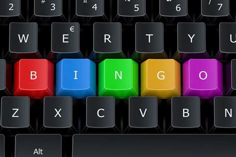 bingo101 no risk play