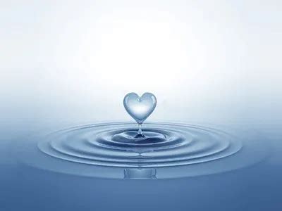 Bio-Cremation | Stamey-Tysinger Funeral Home & Cremation ...