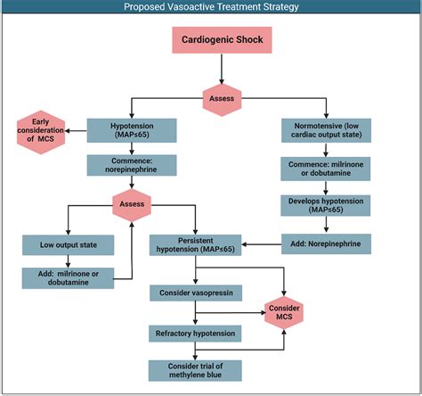 State of Shock: Contemporary Vasopressor and Inotrope Use in Cardiogenic Shock | Journal of the ...