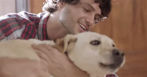 Budweiser Dog Commercial 的图像结果