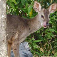 PARQUE NACIONAL MBURUCUYÁ (2026) All You Need to Know BEFORE You Go ...