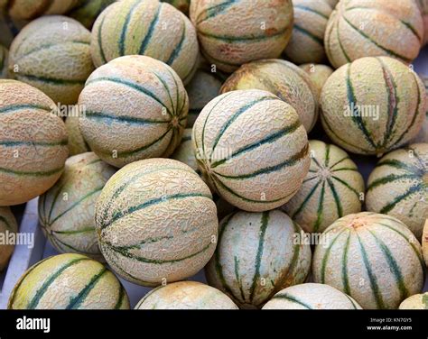 Spanish Melons High Resolution Stock Photography and Images - Alamy