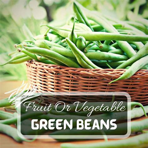 Are Green Beans Fruits Or Vegetables? | January 2024 | Just Pure Gardening
