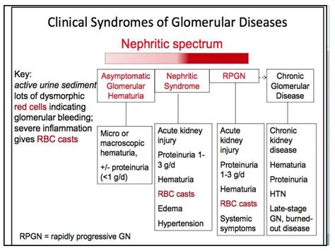 Nephrotic and nephritic Syndrome children 7.ppt