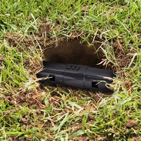 Buy mole trap live trap set of 2