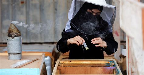 Queen bees in the kingdom: Saudi Arabian keeper creates a buzz - in ...