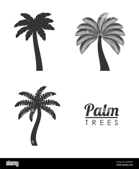 JavaScript Palm Tree Design 的图像结果