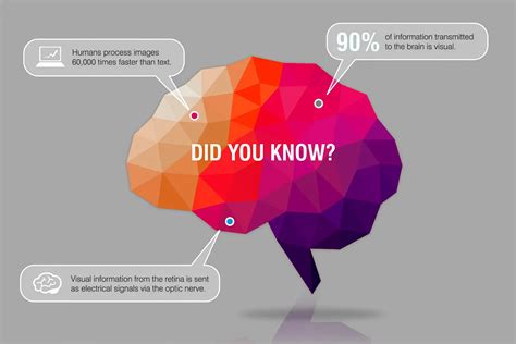 Information Graphics 的图像结果