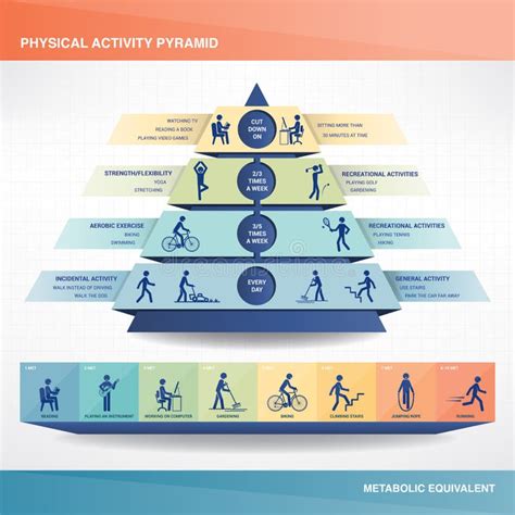 Image result for Physical Activity Pyramid Guide