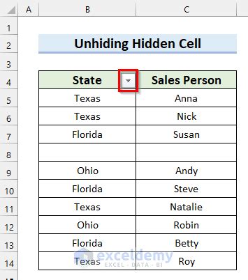 Image result for Excel Check Boxes Corrupt When Using Filters
