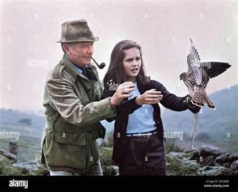 Richard c. sarafian hi-res stock photography and images - Alamy