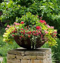 Easy Container Gardens by Thrill Fill And Spill Three Easy Steps To Container Easy Container Gardens