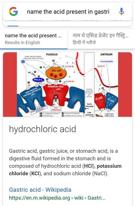 Name the acid present in gastric juice - Brainly.in