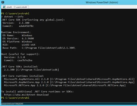 Image result for .Net Core Runtime