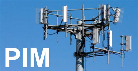 Image result for Cellular Pim