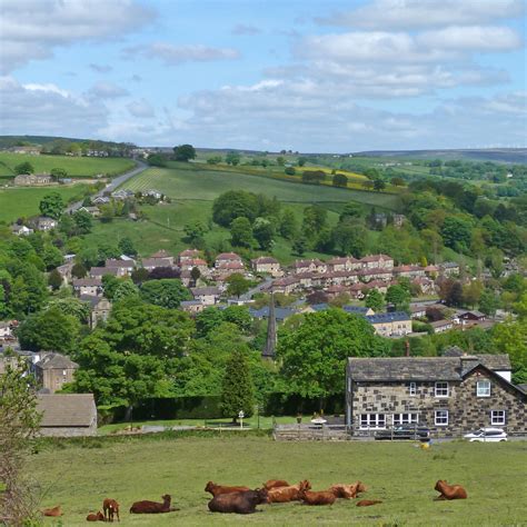 Animal Classificantion-3 Object Detection Model by Fall Off