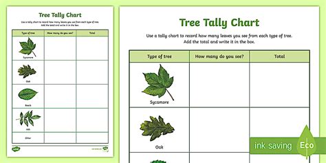 Tree Tally Chart Outdoor Activity - World Around Us KS2