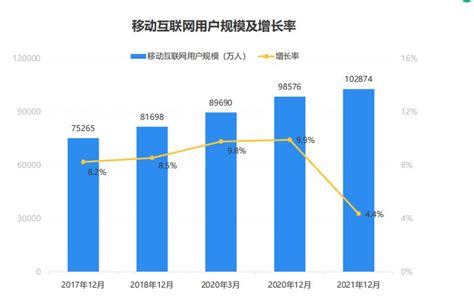 2021精细营销互联网广告行业报告 - 雍熙B2B数字营销智库