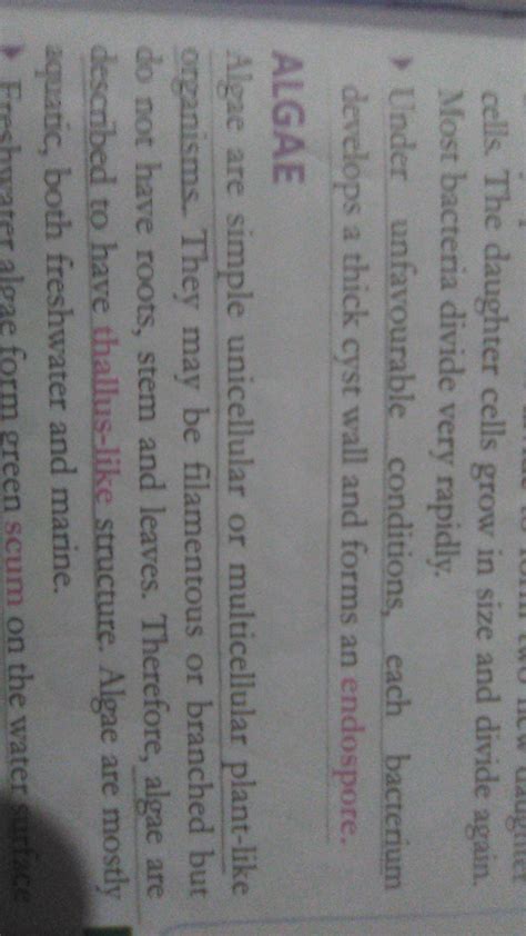 What is the meaning of 'endospore' ? - Brainly.in