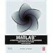 MATLAB: A Practical Introduction to Programming and Problem Solving ...