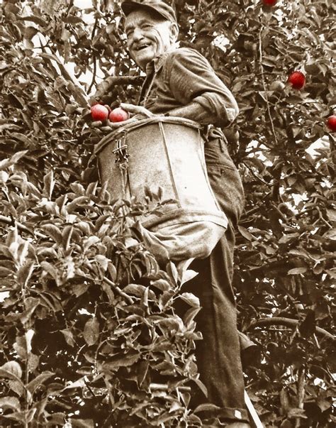 Our History - Bauman Orchards