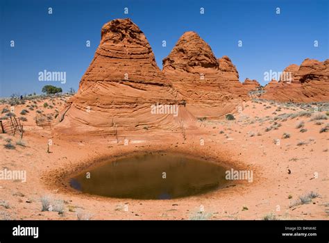 Image result for Simple Logframe Example