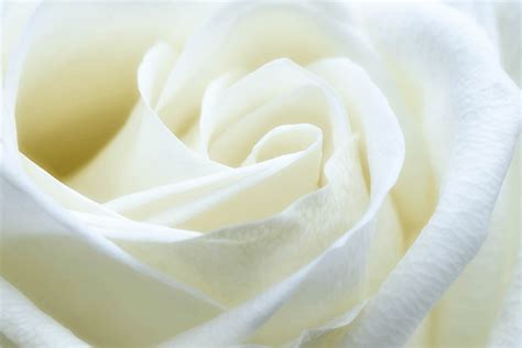 Kinnard Funeral & Cremation Services | Algoma WI funeral home and cremation