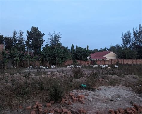 OX'S SUITES (Soroti) - Hotel Reviews & Photos - Tripadvisor