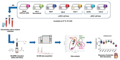Metabolites | Special Issue : Metabolomic Approaches Combined with ...