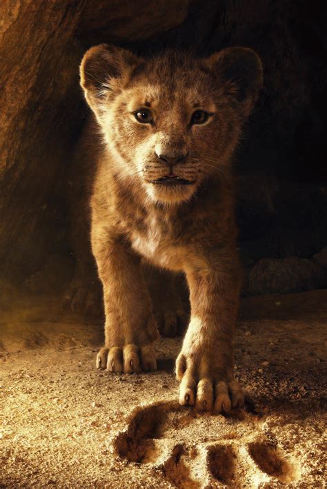 The Lion King 2019 Movie Poster Wallpaper, HD Movies 4K Wallpapers ...