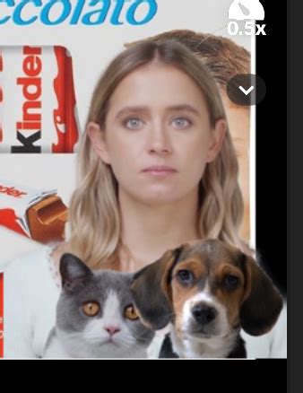 Interactive Photos Effect Challenge | TikTok Effect House