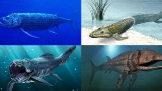 Image result for Extinct Fish