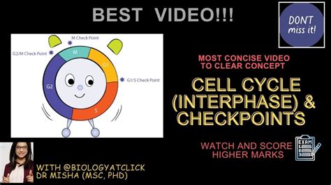 Image result for Interphase Movement
