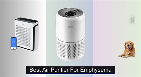 7 Best Humidifiers for Cough 2026