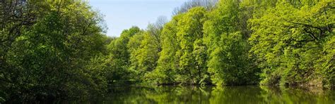 Hôtel restaurant Taverny | Campanile Nature