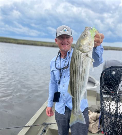 Destination Albemarle Sound - Woods & Waters Magazine