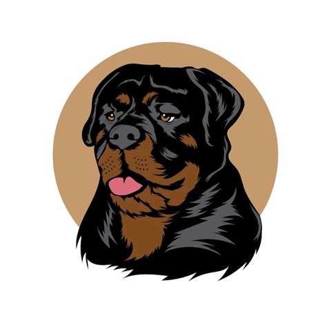 Rottweiler kopf Images - Free Download on Freepik