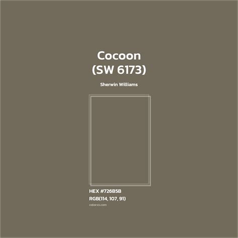 Sherwin Williams Cocoon (SW 6173) Paint - color codes, matching paints ...