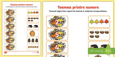 Toamna printre numere