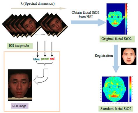 Human Stress and StO2: Database, Features, and Classification of ...