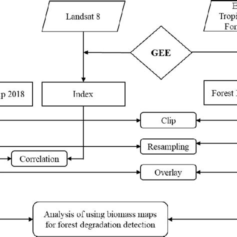 Data Analysis Steps 的图像结果