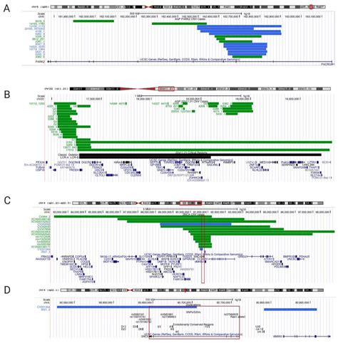 The Role of Alpha-Synuclein and Other Parkinson’s Genes in ...