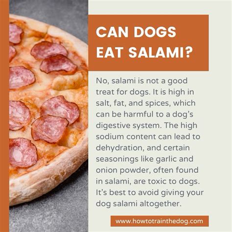Can Dogs Eat Salami