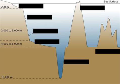 Ocean Knowledge Graph 的图像结果