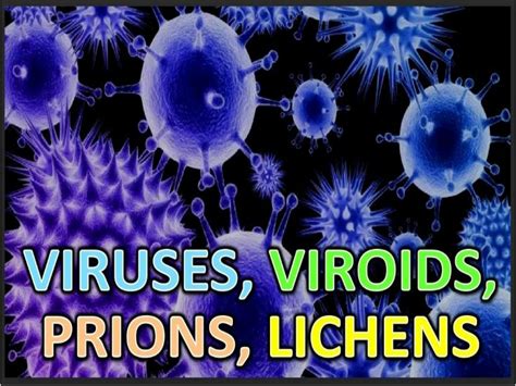 SOLUTION: Viruses viroids prions lichens - Studypool