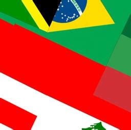 Image result for Flag Transform