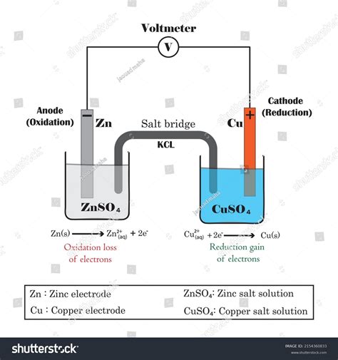 Diagram Electrochemical Cell Galvanic Cell Daniell: เวกเตอร์สต็อก (ปลอด ...